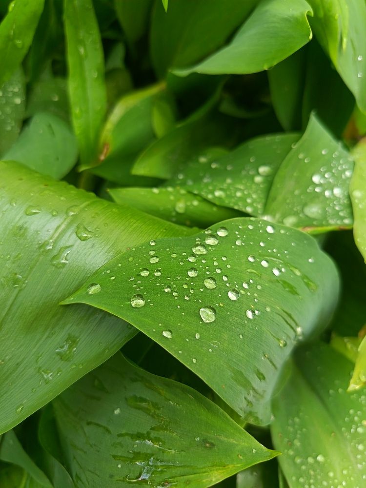 Photograph by Анна К