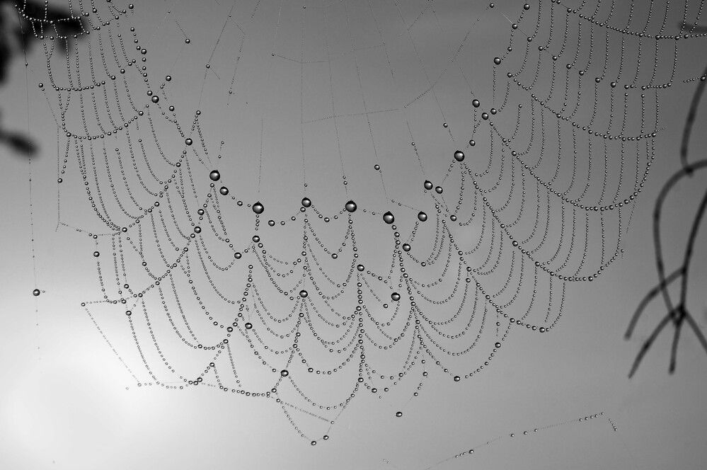 Photograph by Мишустина Татьяна