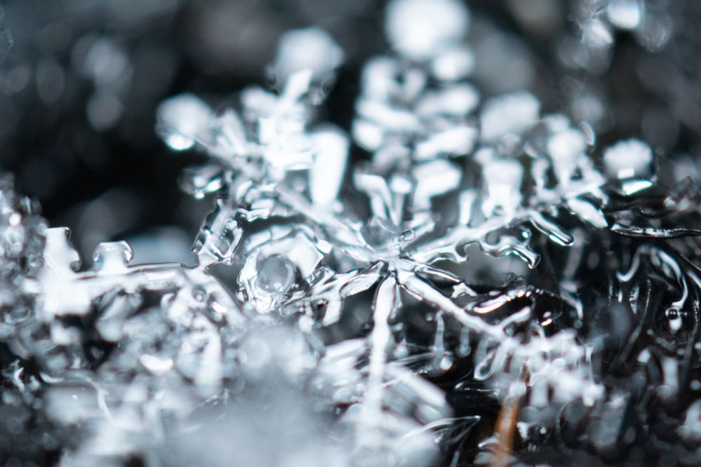 Photograph by Дмитрий Анисимов