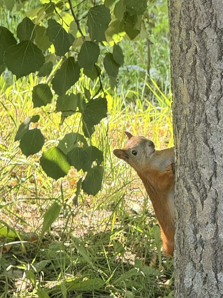 Photograph by Konstantin Kalmykov