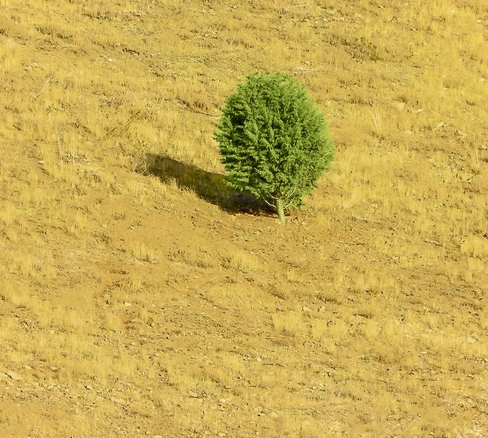 Photograph by Hamidreza zakeri