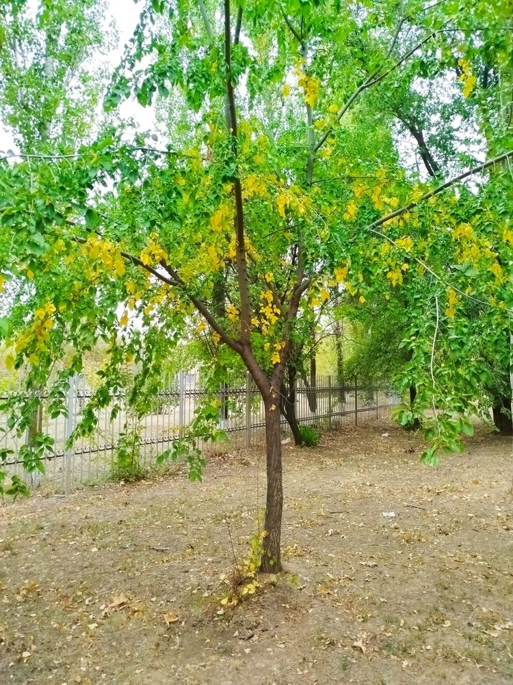 Photograph by Елизавета Слесарева