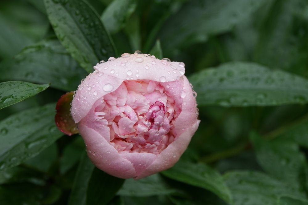 Photograph by сергей мишаков