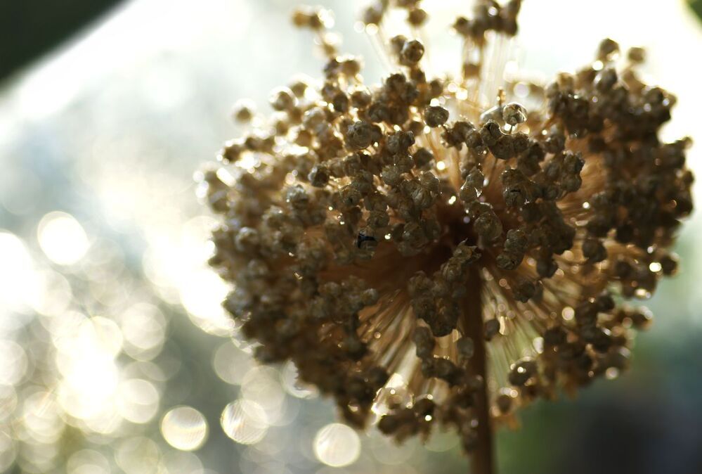 Photograph by Merav Zuberman Perkal