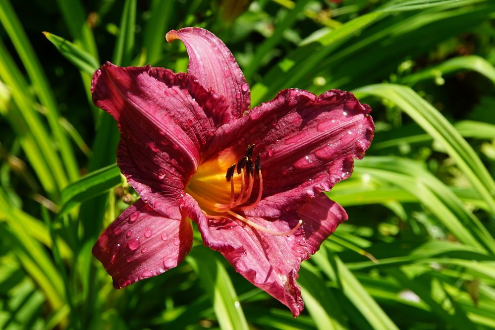 Photograph by сергей мишаков