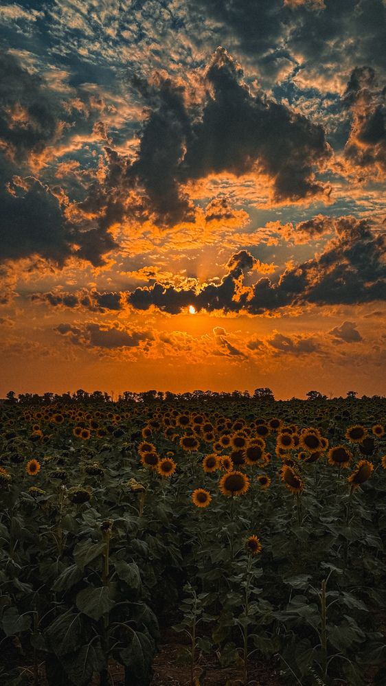 Photograph by Анна Голубцова