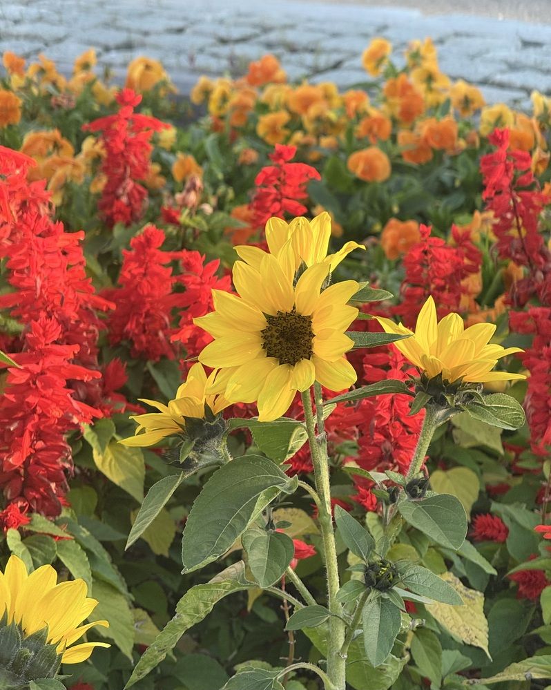 Photograph by Konstantin Kalmykov