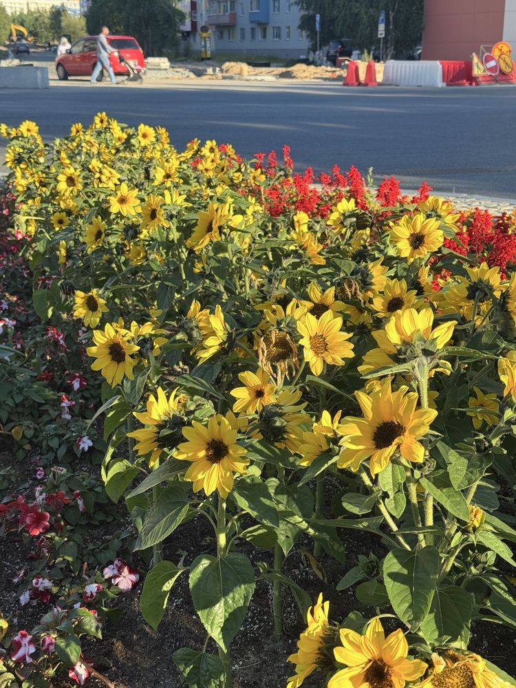 Photograph by Konstantin Kalmykov