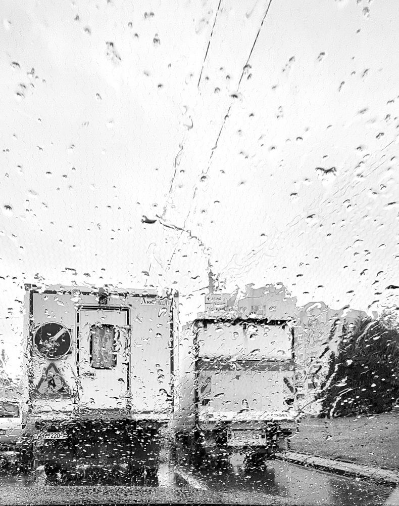Photograph by Елена