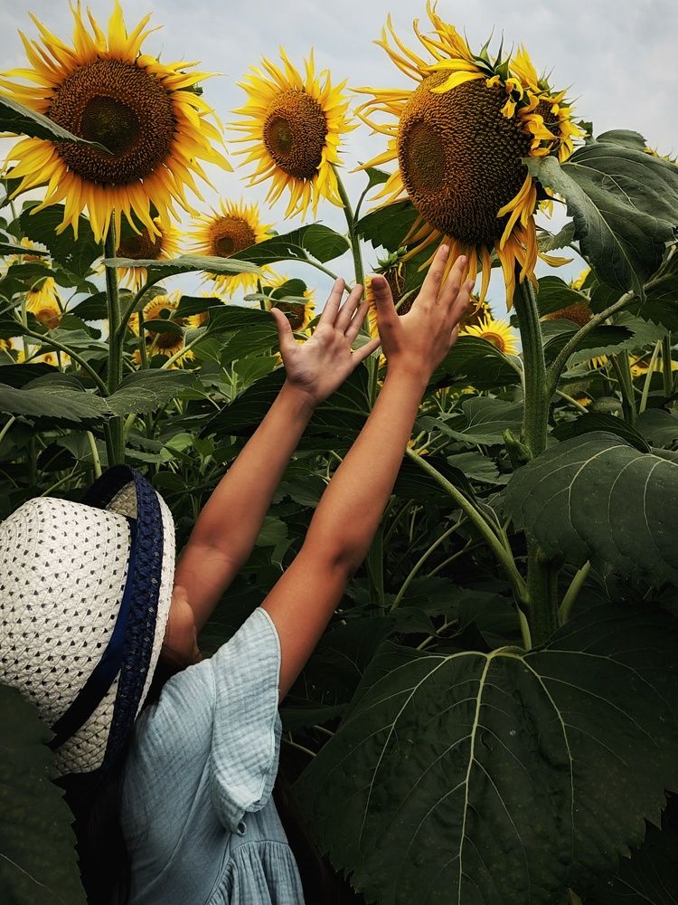 Фотография автора Евгения Владимировна