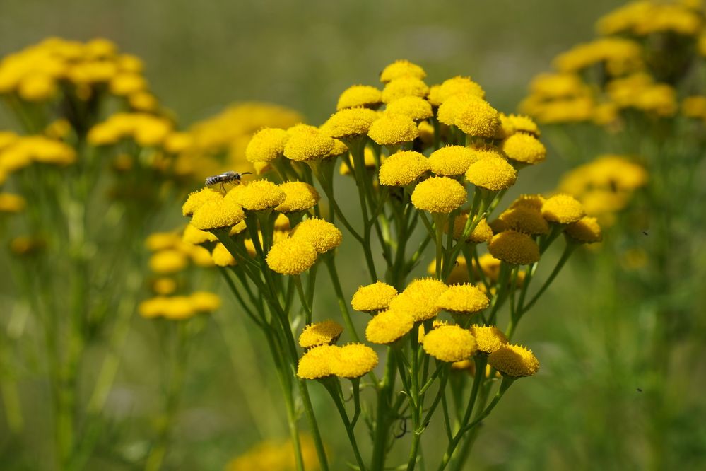 Photograph by Дарья Ринас