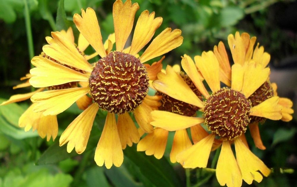 Photograph by Елена Сухорученкова