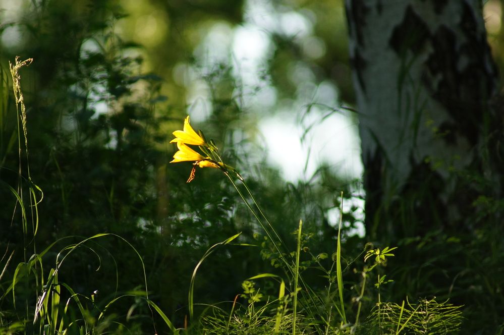 Photograph by Дарья Ринас