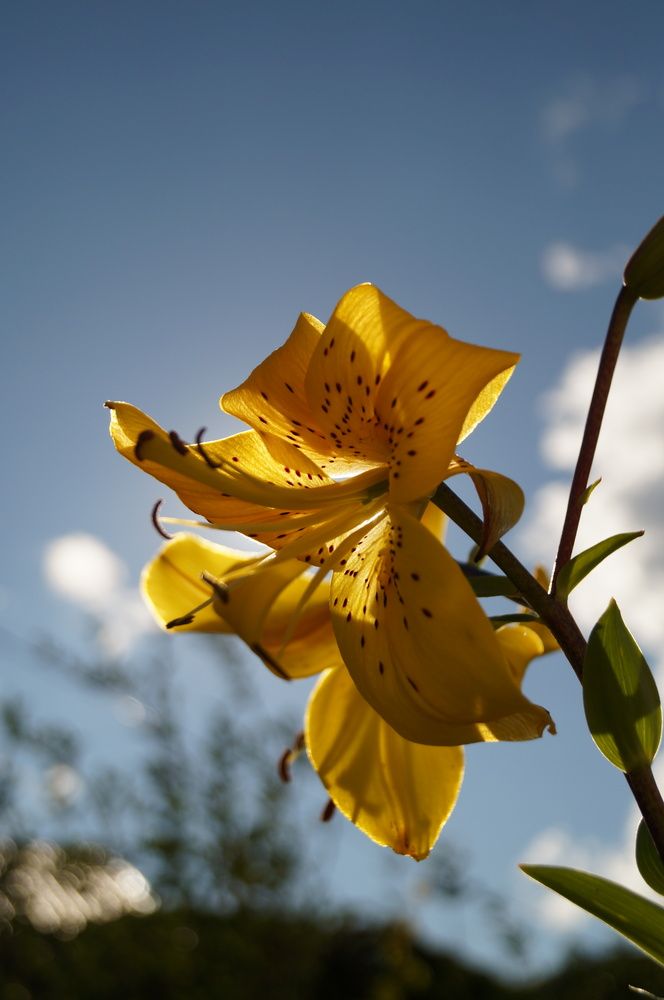 Photograph by Дарья Ринас