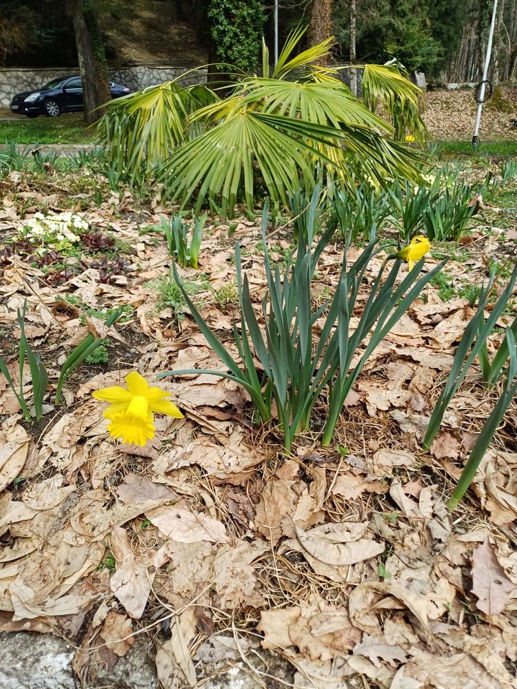 Photograph by Елена Казаренко