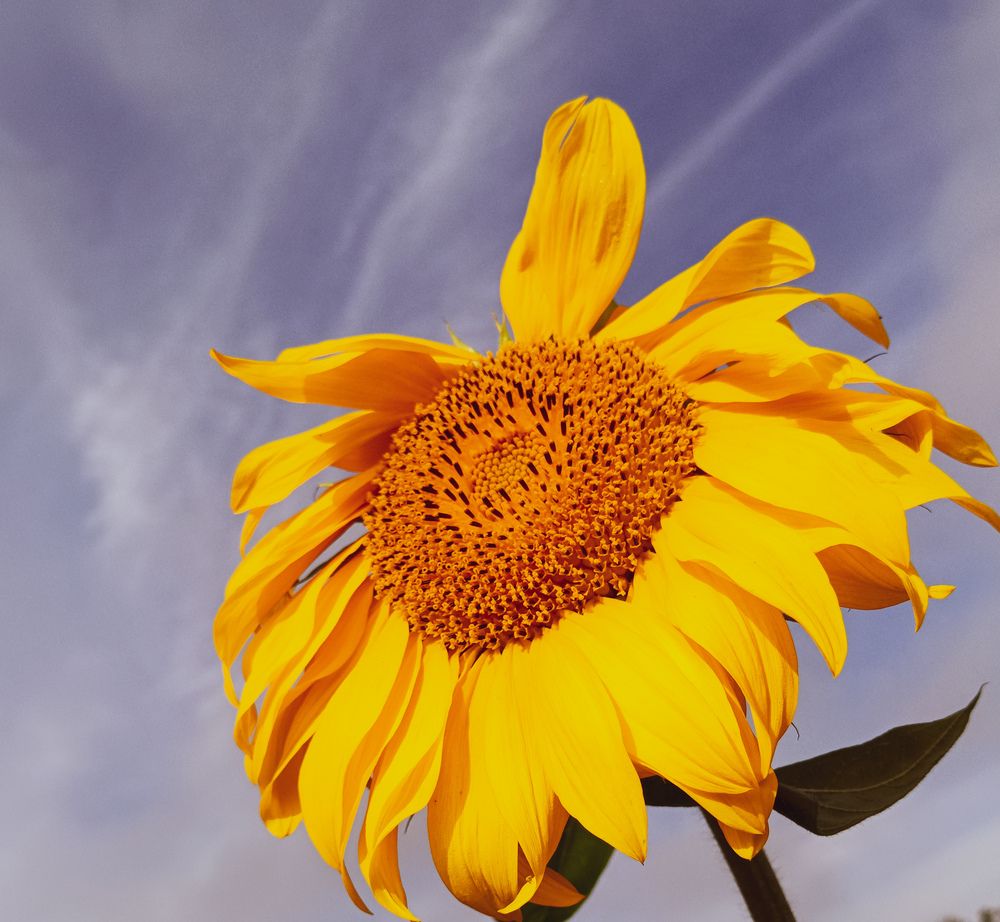 Фотография автора Ольга Кунакова