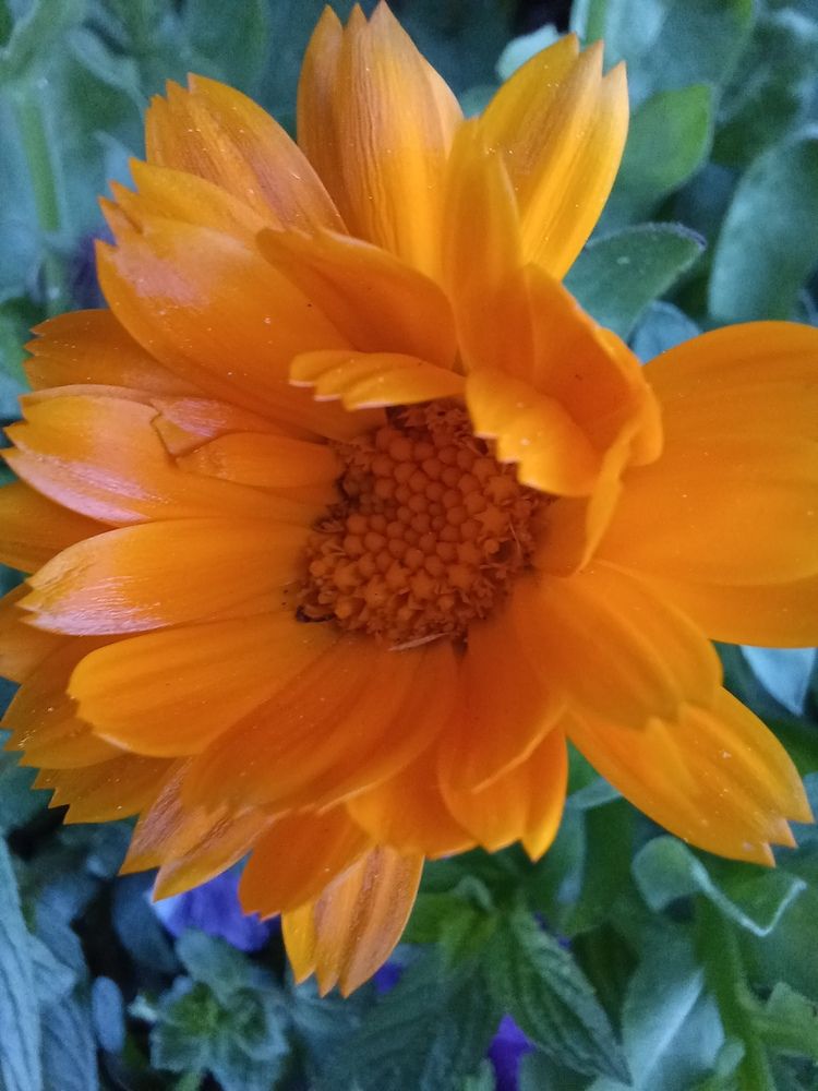 Photograph by Елена Казаренко