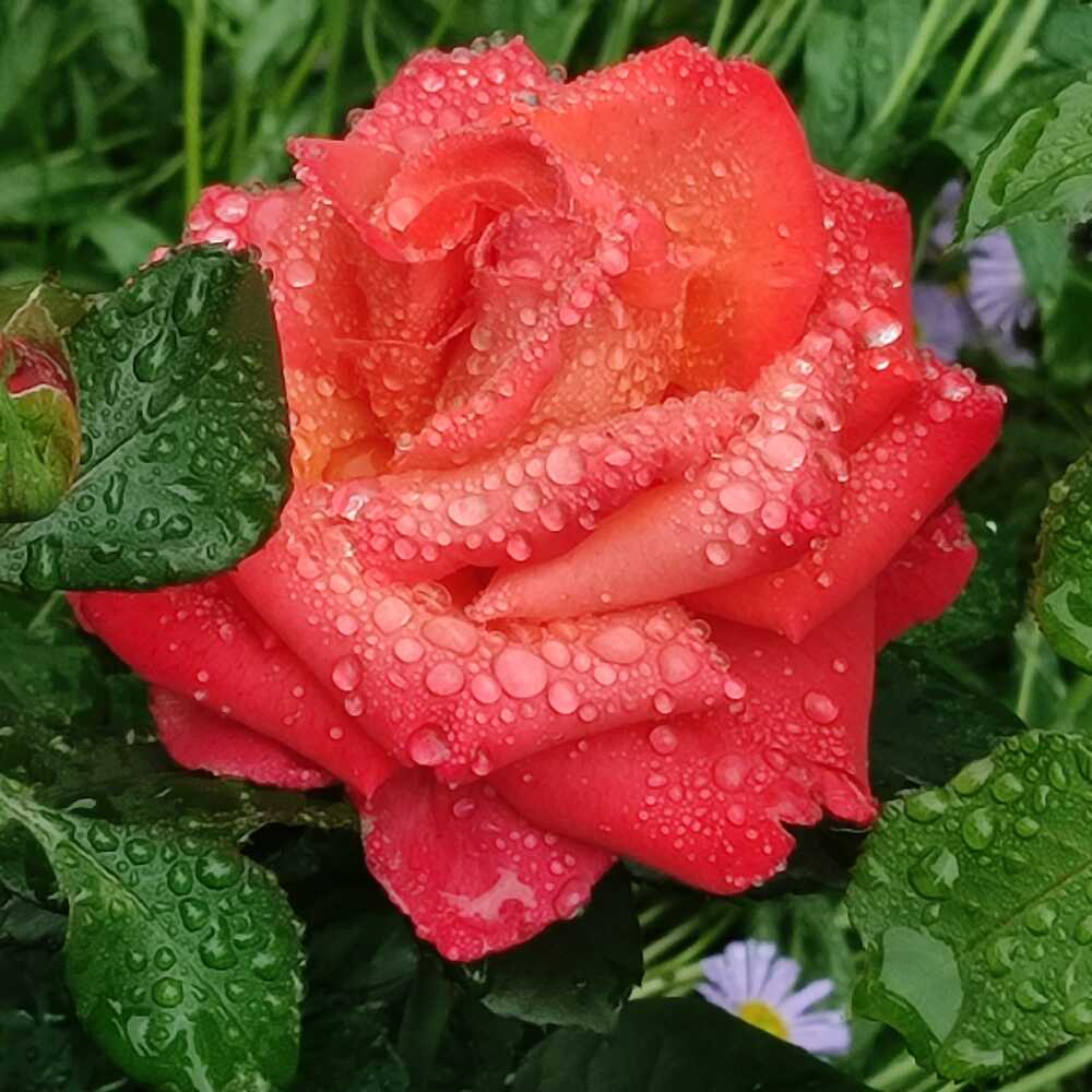 Photograph by Евгения