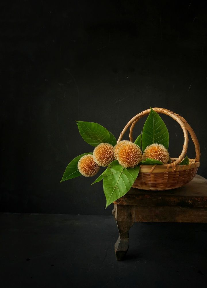 Photograph by Moon Moon Hossain