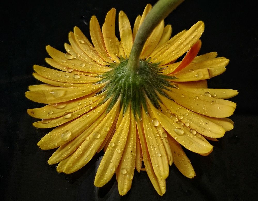 Photograph by Moon Moon Hossain