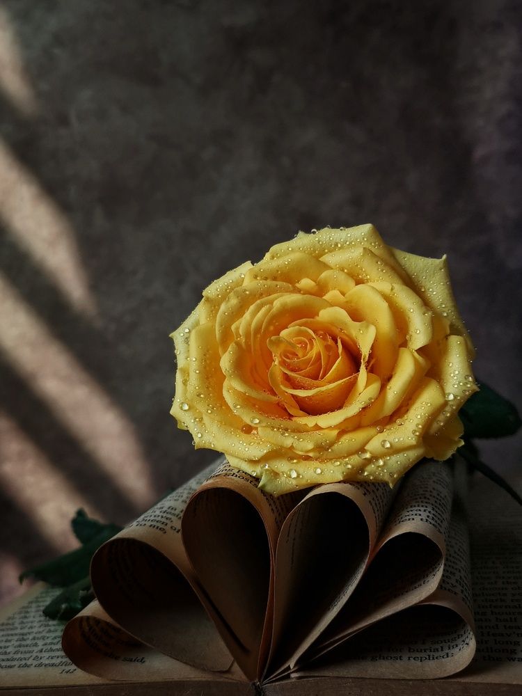 Photograph by Moon Moon Hossain