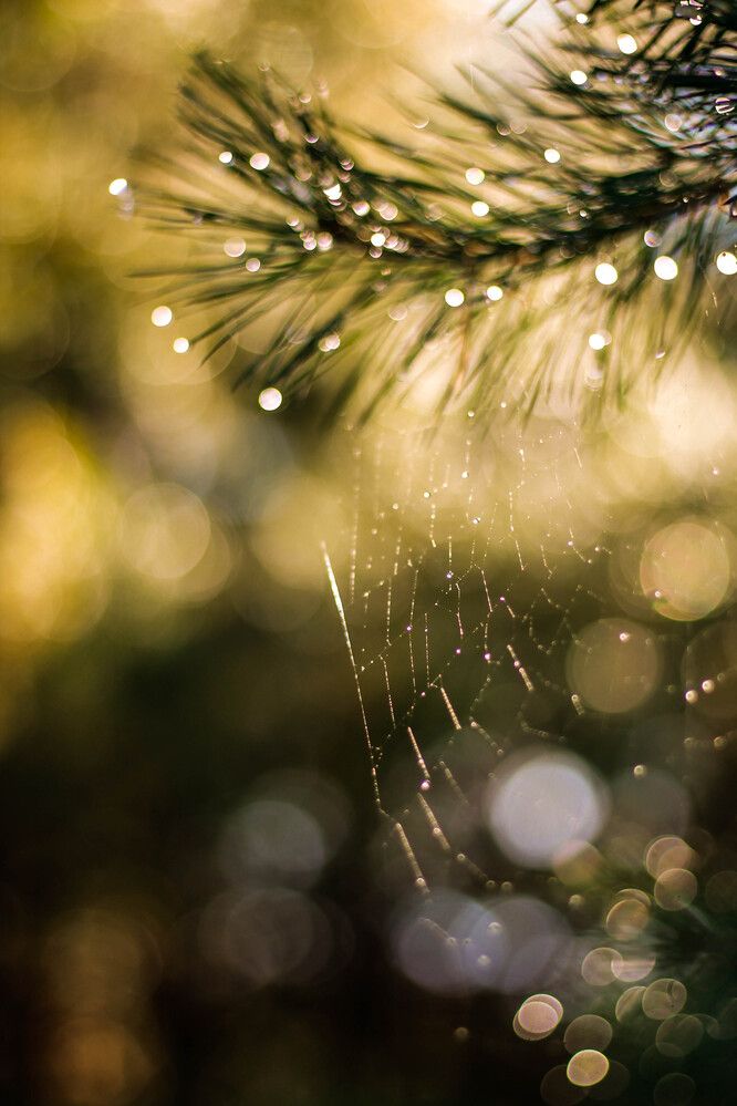 Photograph by Любовь Иванова