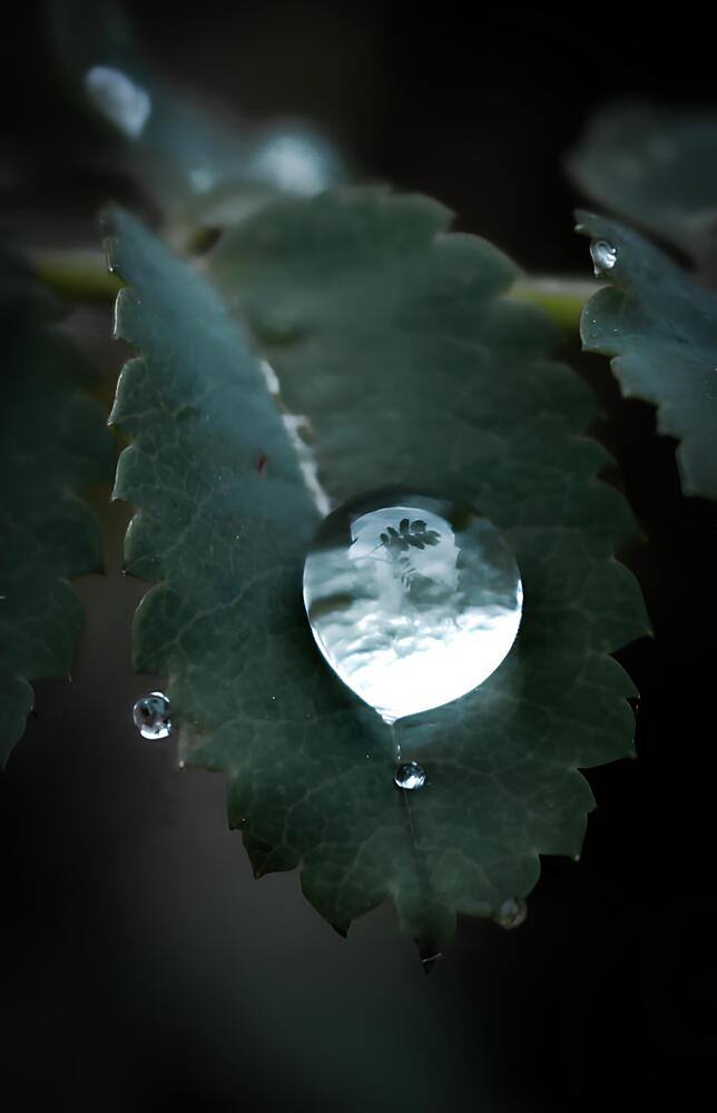 Photograph by Любовь Иванова