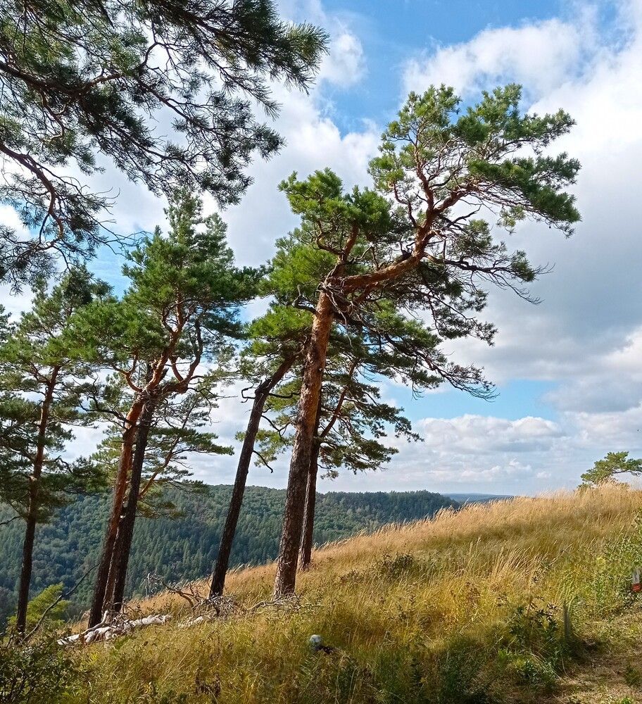 Photograph by Ирина Орлова