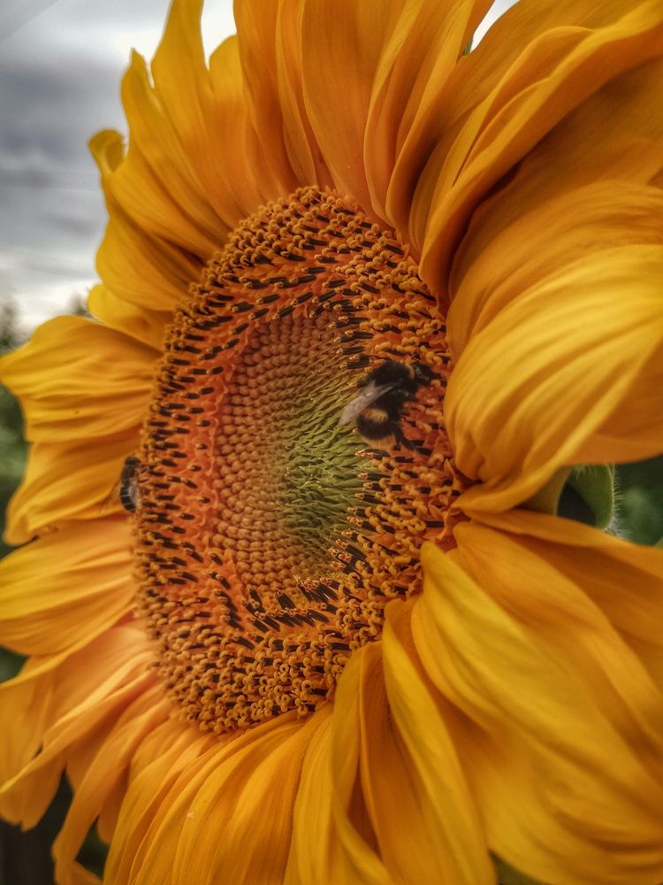 Фотография автора Ольга Кунакова