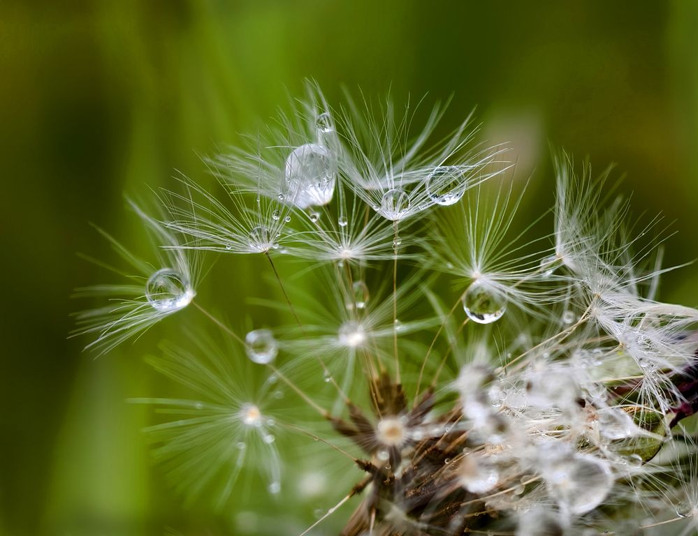 Фотография автора Кухта Мария