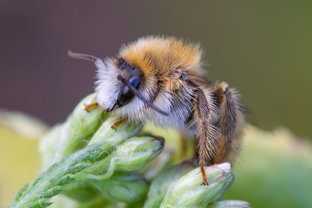 Photograph by Алексеев Сергей