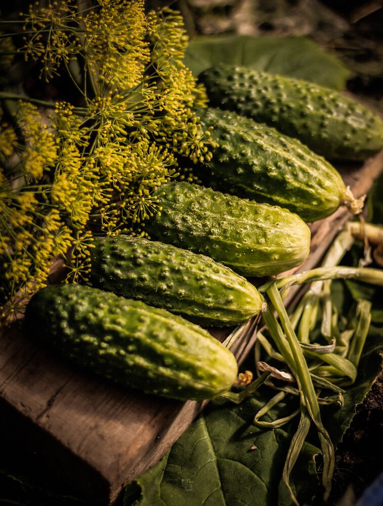 Photograph by Любовь Иванова