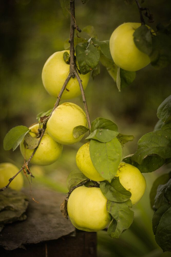 Photograph by Любовь Иванова