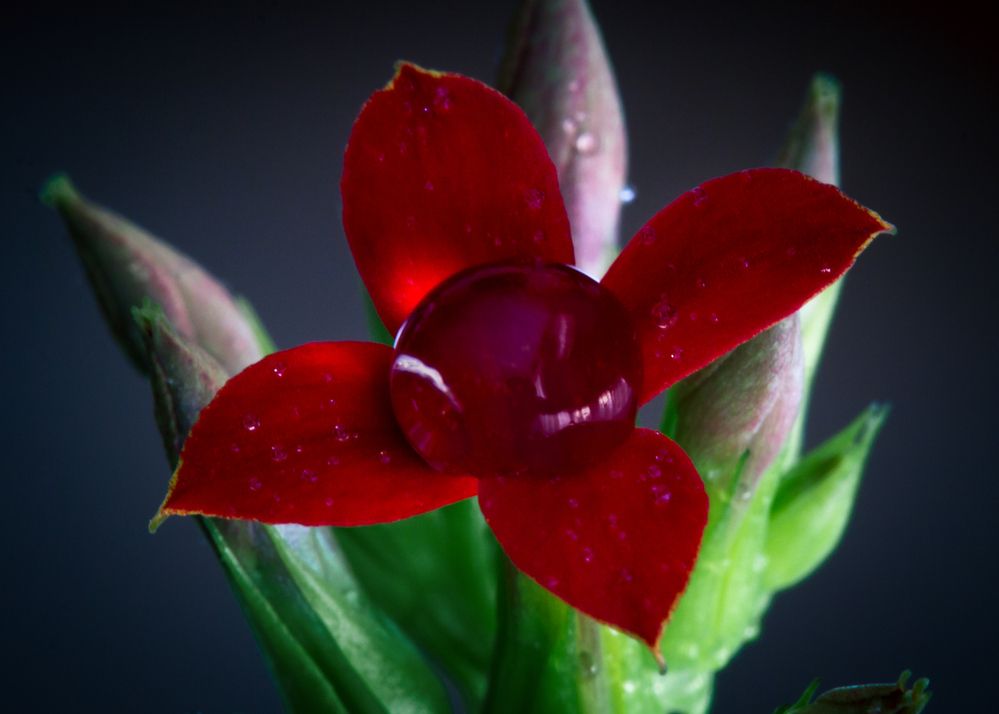 Photograph by Алексеев Сергей