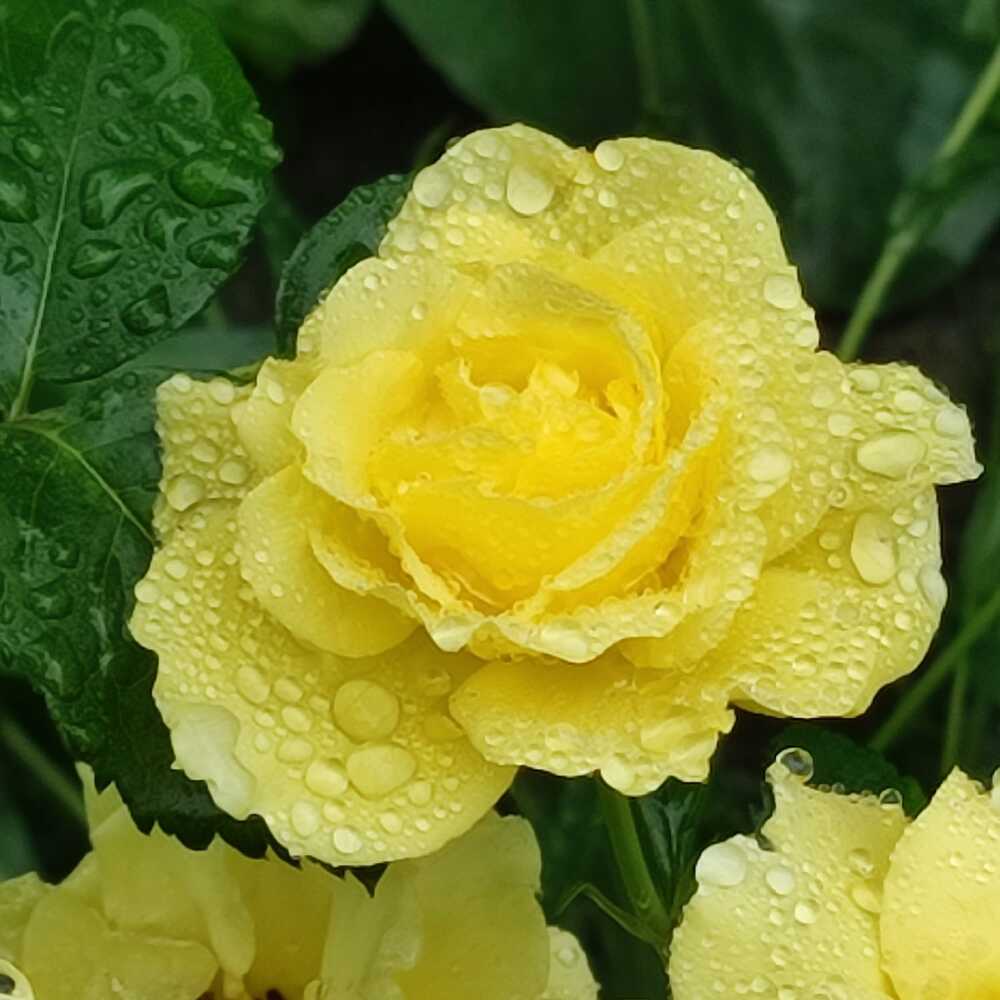 Photograph by Евгения