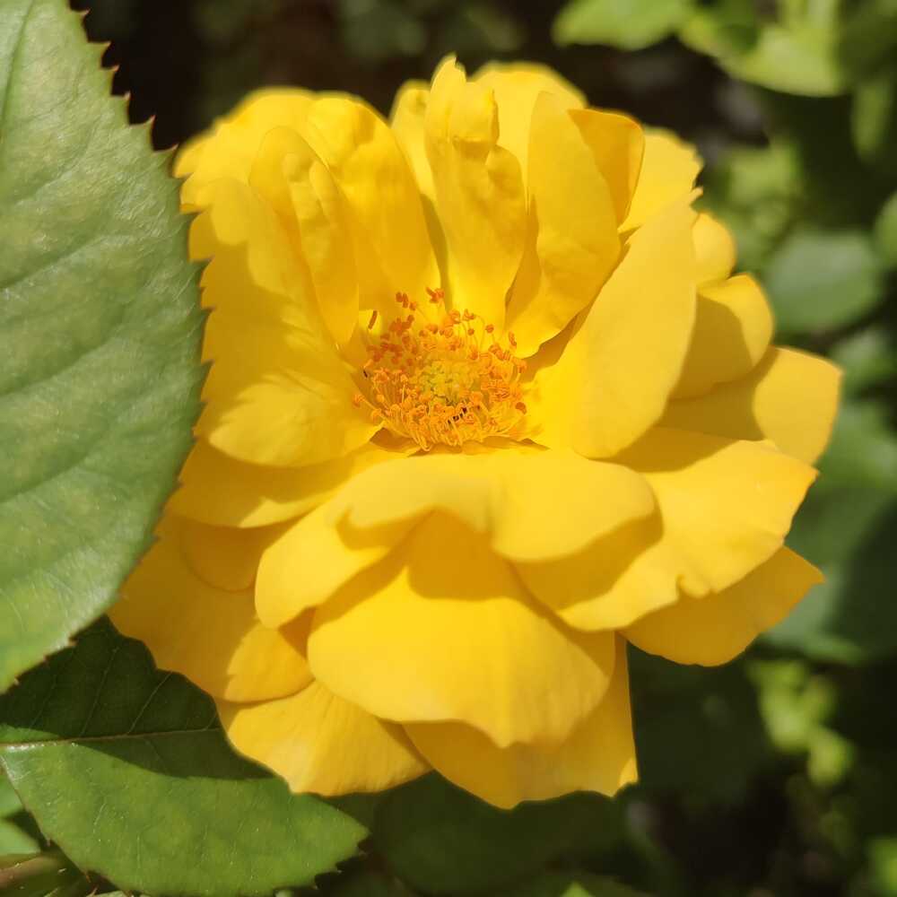 Photograph by Евгения