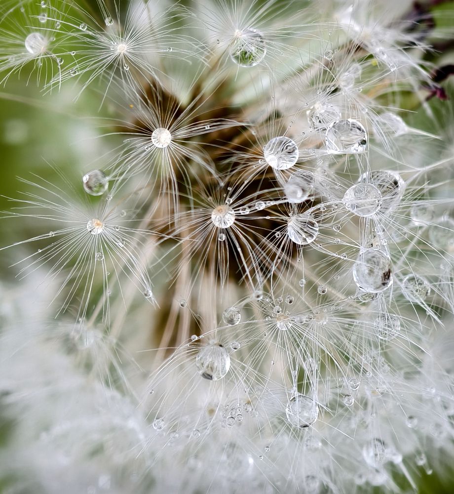 Photograph by Кухта Мария