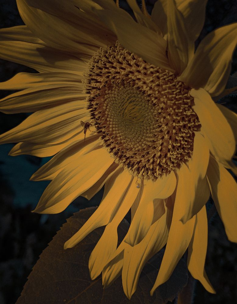 Фотография автора Ольга Кунакова