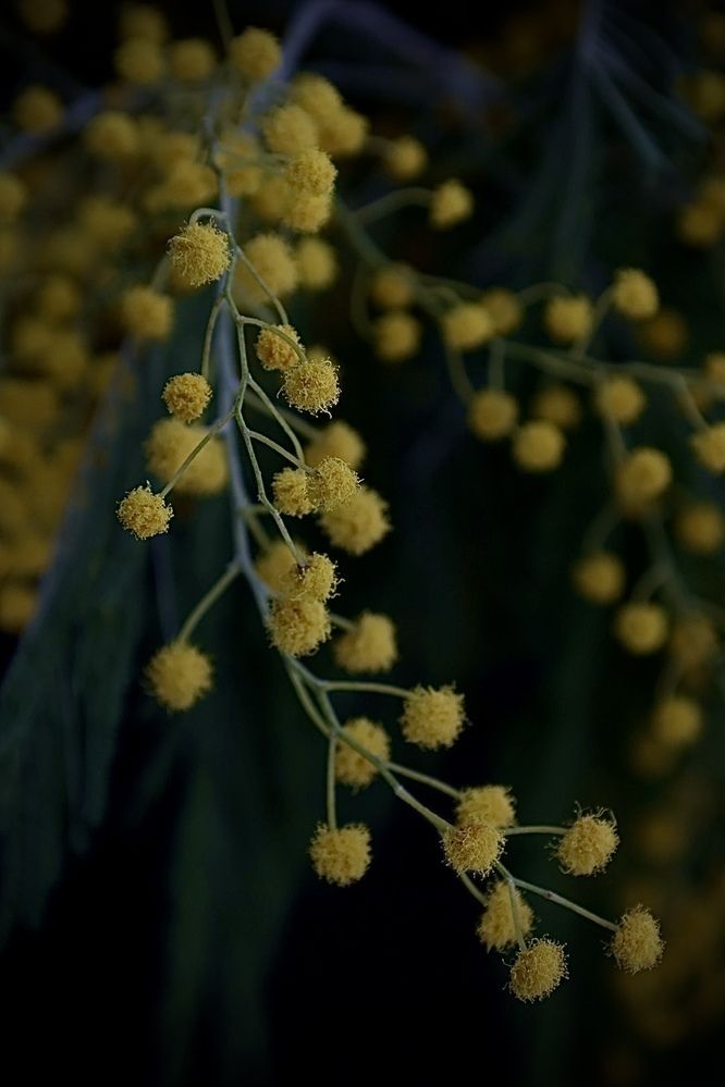 Photograph by Татьяна Смирнова