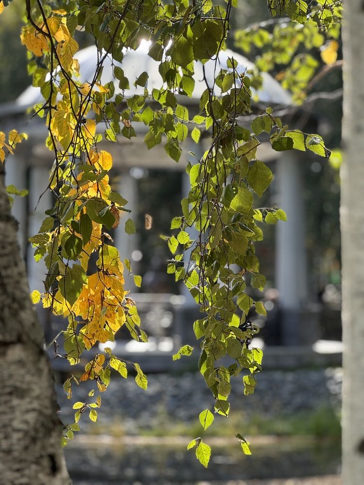 Photograph by Татьяна Смирнова