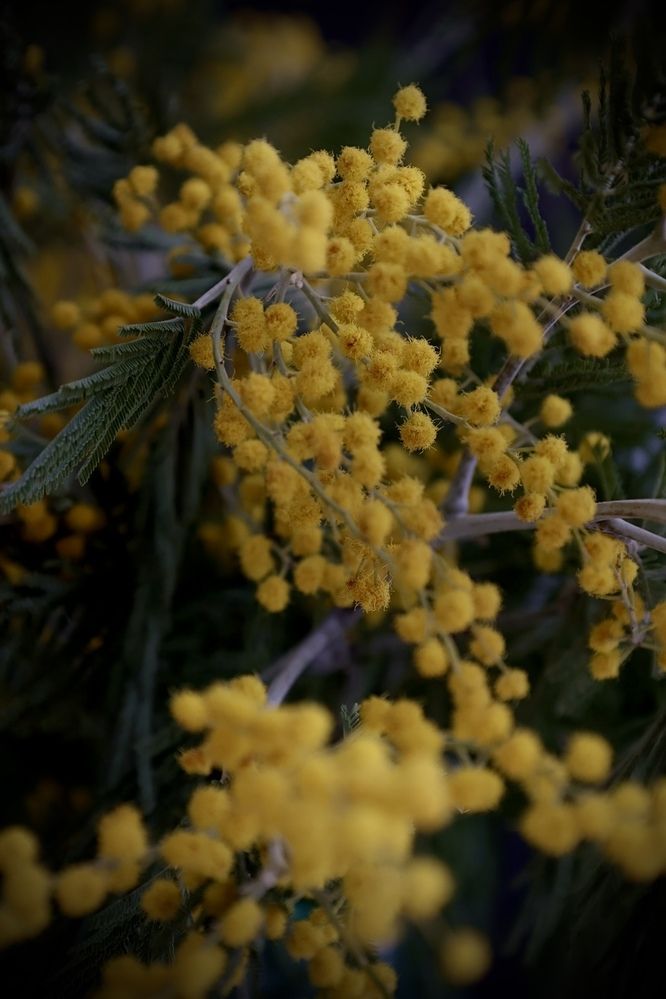 Photograph by Татьяна Смирнова