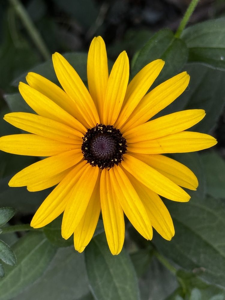 Photograph by Татьяна Смирнова