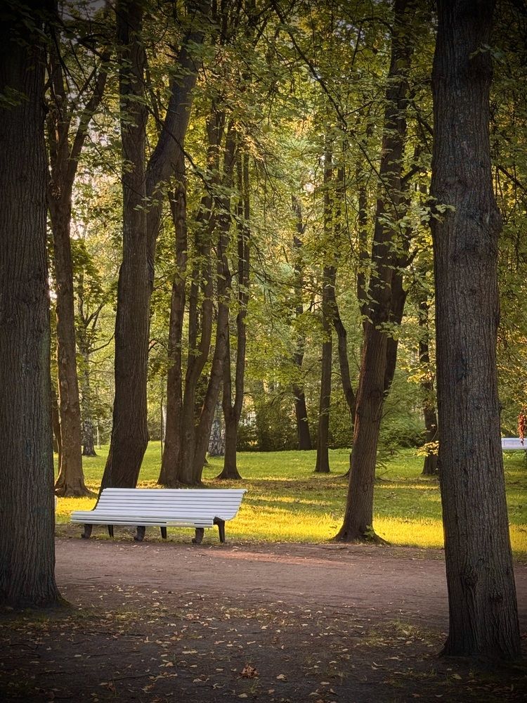 Photograph by Татьяна Смирнова