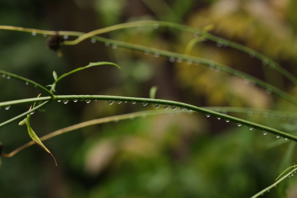 Фотография автора Natalia Kuzmina