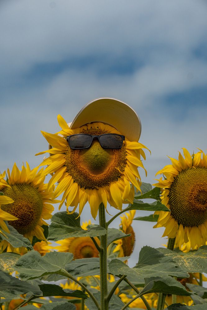 Photograph by Высотских Владимир