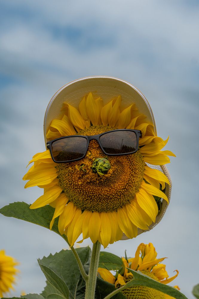 Photograph by Высотских Владимир