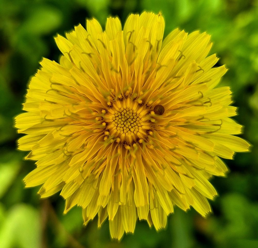 Photograph by Яна Галимуллина