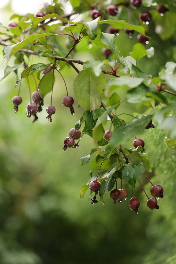 Фотография автора Natalia Kuzmina