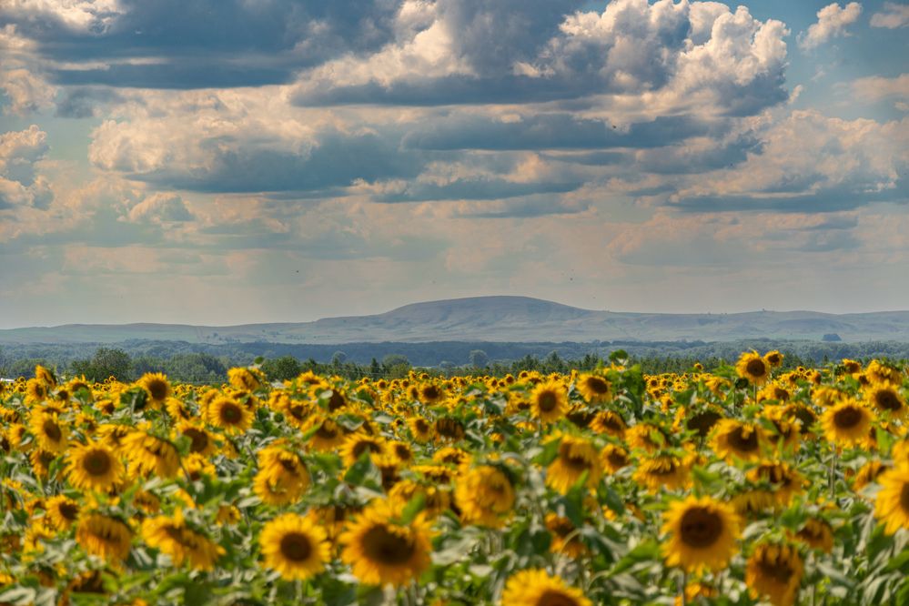Photograph by Высотских Владимир