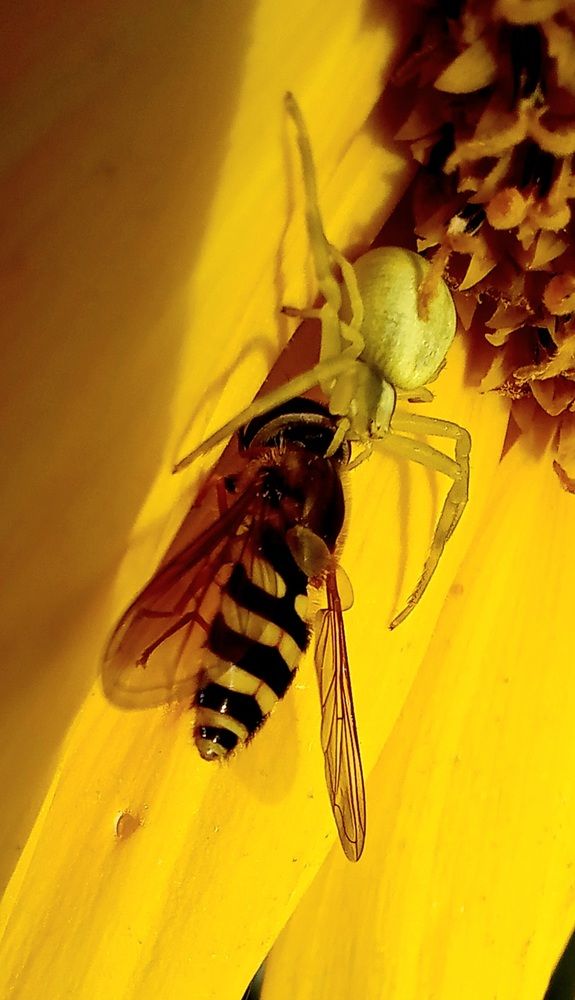 Photograph by Евгений Савулькин